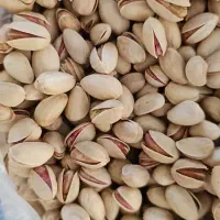 پسته احمداقایی انس ۲۷