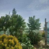 باغ وزمین