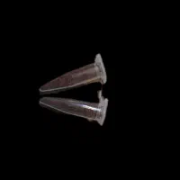 بذر اکواریوم