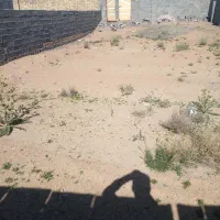 زمین|فروش زمین و ملک کلنگی|مشهد, کوشش|دیوار