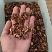 گردو مغز قهوه ای فسنجونی روغنی