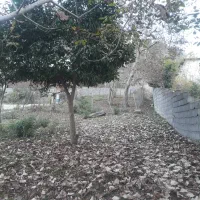 مازندران سوادکوه