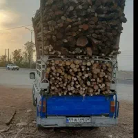 بریدن درخت و خرید چوب|خدمات باغبانی و درختکاری|کازرون, |دیوار