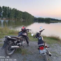 پالس مزایده