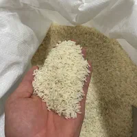 دم سیاه و فجر فقط و فقط ۲ تن مونده زیر قیمت همه جا