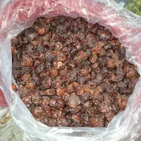 لواشک و آلوچه جنگلی