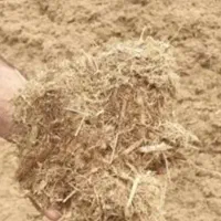 کاه سفید گندم درجه یک|خدمات باغبانی و درختکاری|کازرون, |دیوار
