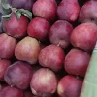 سیب قرمز سورتینگ شده صادراتی|خوردنی و آشامیدنی|تهران, افسریه جنوبی|دیوار