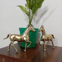 اسب تو پر برنجی