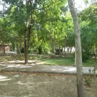 تمیزکاری