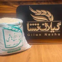 تخفیف ویژه برنج گیلان نشا