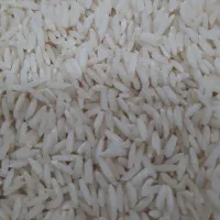 انواع برنج اعلا|خوردنی و آشامیدنی|رشت, پیرسرا|دیوار