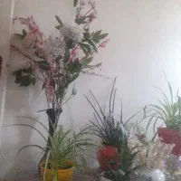 خط همراه اول قشنگ