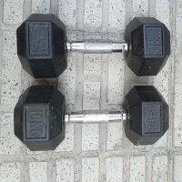 دمبل 10 کیلویی