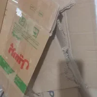 کارتون موزی|حراج|مشهد, مشکینی (شهرک غرب)|دیوار