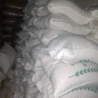 پخش حبوبات، نخود، لوبیا و برنج ایرانی به قیمت عمده