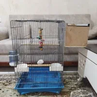 قفس کاسکویی با کل وسایل