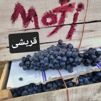 انگور سیاه دیم سردشت کردستان(( قریشی))|خوردنی و آشامیدنی|مشهد, رسالت|دیوار