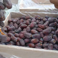 خرمای خرمای مضافتی کلوته ومرداسنگ سوپر لوکس