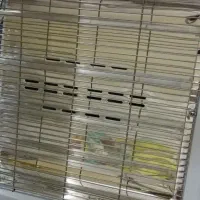 بخاری برقی برفاب