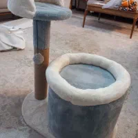 جای خواب گربه