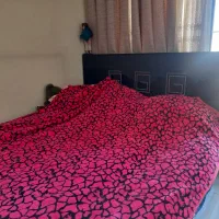 سرویس خواب و مبلمان|تخت و سرویس خواب|تهران, کوهک|دیوار