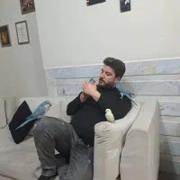 راهب مولد کار داده و گیرینچیک