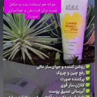 پودر جوانه گندم (تپلی صورت)|خوردنی و آشامیدنی|کاشان, عربها|دیوار