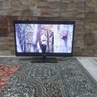 تلویزیون