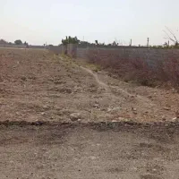 زمین فروشی کاربری کشاورزی|فروش دفتر صنعتی، کشاورزی، تجاری|رباط‌کریم, کاظم‌آباد|دیوار