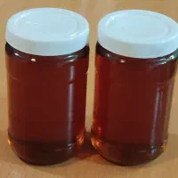 عسل طبیعی گون|خوردنی و آشامیدنی|تهران, ائمه اطهار|دیوار