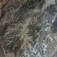 فروش سنگ شجر دریای ۸کیلوی