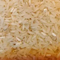 فروش برنج محلی درجه یک فجر و هاشمی
