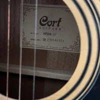 گیتار آکوستیک کورت|گیتار، بیس، امپلیفایر|فریدونکنار, |دیوار