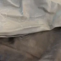 تشک بادی