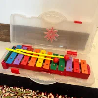 بلز سالم با جعبه