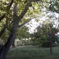 یک باب منزل مسکونی روستای ده مرادخان صحنه|فروش خانه و ویلا|صحنه, |دیوار