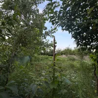 فروش ۳۱۴ متر زمین مسکونی ۲۰ متری آسفالت
