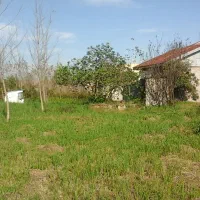 ویلاباغ زیباویوابدی۱۲۰۰متر سندتکبرگ مسکونی|فروش خانه و ویلا|رشت, بوسار|دیوار