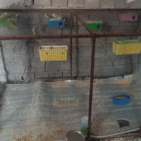 فروش قفس مخصوص پرندگان
