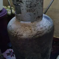 یک عدد کپسول