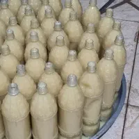 پخش عمده ابلیمو