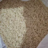 برنج هاشمی سورتینگ شده قیمت ۳۰۰ تومن