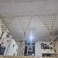 پرده مهره ای