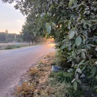 باغچه الوان بر آسفالت تازه کندقشلاق ۸۰۰ متر|فروش زمین و ملک کلنگی|ارومیه, |دیوار