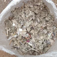 فروش فوری کود کفتر خشک