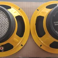میدرنج سایز ۸ درحدنو