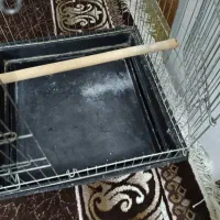 قفس پرنده|لوازم جانبی حیوانات|مرودشت, ابوذر جنوبی|دیوار