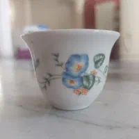 شات قهوه خوری