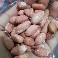 بادام زمینی آستانه